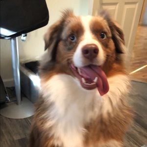 Meet your Posher, Jillian